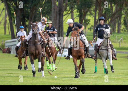 Waikii, Hawaii - der Mauna Kea Polo Club spielt Polo Sonntag nachmittags auf den Pisten des ruhenden Vulkan Mauna Kea. Stockfoto