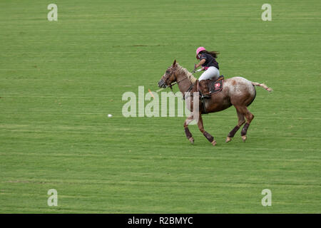 Waikii, Hawaii - der Mauna Kea Polo Club spielt Polo Sonntag nachmittags auf den Pisten des ruhenden Vulkan Mauna Kea. Stockfoto