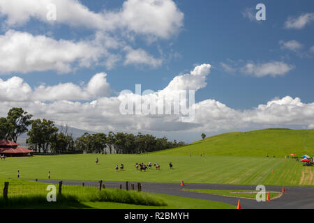 Waikii, Hawaii - der Mauna Kea Polo Club spielt Polo Sonntag nachmittags auf den Pisten des ruhenden Vulkan Mauna Kea. Stockfoto