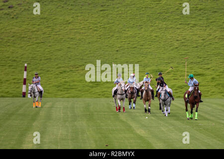 Waikii, Hawaii - der Mauna Kea Polo Club spielt Polo Sonntag nachmittags auf den Pisten des ruhenden Vulkan Mauna Kea. Stockfoto