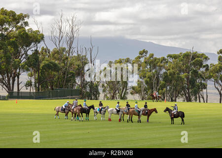 Waikii, Hawaii - der Mauna Kea Polo Club spielt Polo Sonntag nachmittags auf den Pisten des ruhenden Vulkan Mauna Kea. Anfänger Spieler hören Instru Stockfoto