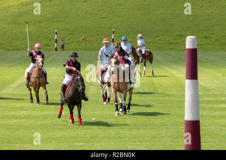 Waikii, Hawaii - der Mauna Kea Polo Club spielt Polo Sonntag nachmittags auf den Pisten des ruhenden Vulkan Mauna Kea. Stockfoto