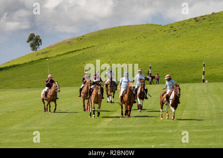 Waikii, Hawaii - der Mauna Kea Polo Club spielt Polo Sonntag nachmittags auf den Pisten des ruhenden Vulkan Mauna Kea. Stockfoto