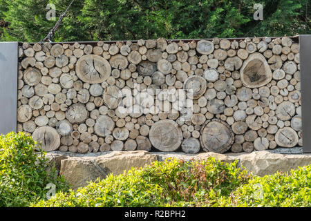 Schneiden Baum Baum- wand aus horizontalen Protokolle erstellen einen Blick aus einer Reihe von unterschiedlich großen Kreise zusammen diese Barrie zu erstellen Stockfoto