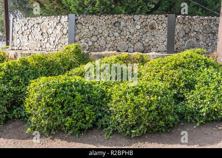 Schneiden Baum Baum- wand aus horizontalen Protokolle erstellen einen Blick aus einer Reihe von unterschiedlich großen Kreise zusammen diese Barrie zu erstellen Stockfoto