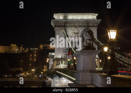 Kettenbrücke mit ungarische Flagge bei Nacht Budapest, Ungarn Stockfoto