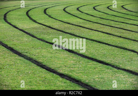 Low Angle View von Frisch lackiert schwarz Fahrbahnmarkierung Marken für einen lokalen Rat sportliche Laufbahn. Üppig grüne Gras Sportplatz in gutem Zustand Stockfoto