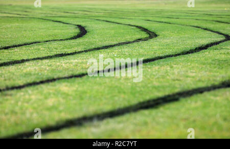 Low Angle View von Frisch lackiert schwarz Fahrbahnmarkierung Marken für einen lokalen Rat sportliche Laufbahn. Üppig grüne Gras Sportplatz in gutem Zustand Stockfoto