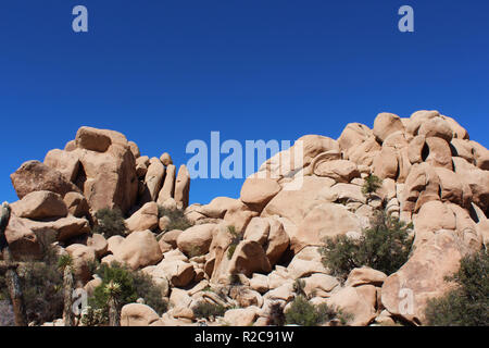 Einzigartige Felsformation mit Mesquite und Palmen wachsen in die Felsen auf der versteckten Tal Picknickplatz Trail im Joshua Tree National Park, Twentyni Stockfoto