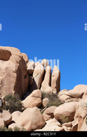 Einzigartige Felsformation mit Mesquite Bäume wachsen in die Felsen auf der versteckten Tal Picknickplatz Trail im Joshua Tree National Park, Twentynine Palms, Stockfoto