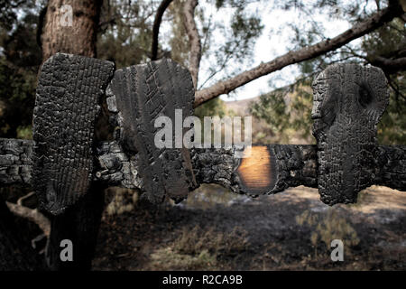 Verbrannt Zaun. Die woolsey wildfire begann am 8. November 2018 und hat mehr als 98.000 Hektar Land verbrannt, zerstört, geschätzte 1.100 Strukturen und tötete 3 Menschen in Los Angeles und Ventura Grafschaften und die besonders hart betroffen von Malibu. Kalifornien, USA Stockfoto