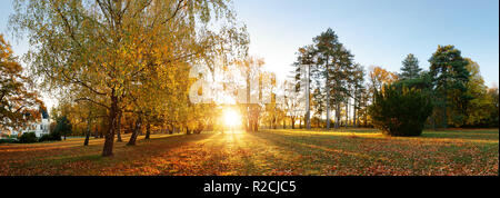 Schönen park Garten im Herbst. Herbst Panorama Park bei Sonnenaufgang in der Slowakei Stockfoto