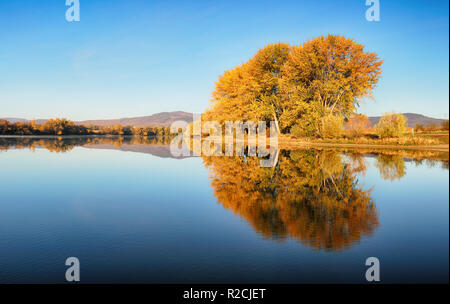 Herbst bunte Bäume unter Morgensonne in ruhiger Fluss widerspiegelt Stockfoto