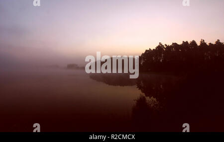 Nebel am See Stockfoto