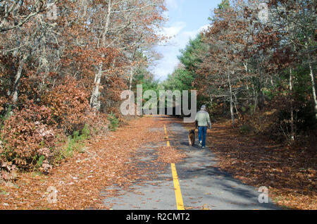 Frau wandern ein airedale im späten Herbst entlang der glänzende Meer Radweg in Plymouth, Cape Cod, Massachusetts, USA Stockfoto