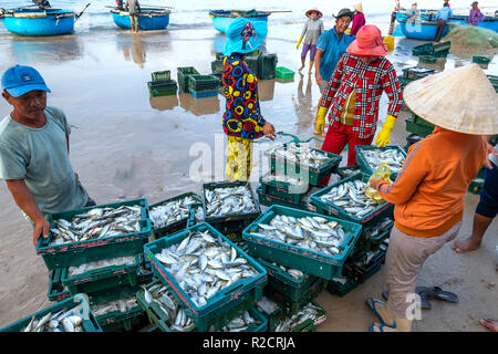 Fischmarkt Sitzung Seeszene Menschen versammelten sich im Korb Fischverkauf, anstrengende Ruderfischerei Fischer Fisch an Land gebracht Fischerdorf in Phan Thiet Stockfoto