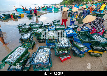Fischmarkt Sitzung Seeszene Menschen versammelten sich im Korb Fischverkauf, anstrengende Ruderfischerei Fischer Fisch an Land gebracht Fischerdorf in Phan Thiet Stockfoto