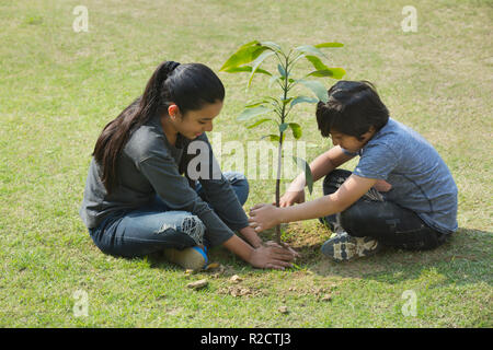 Jungen und Mädchen das Einpflanzen einer kleinen Pflanze im Garten sitzen auf dem Boden. Stockfoto