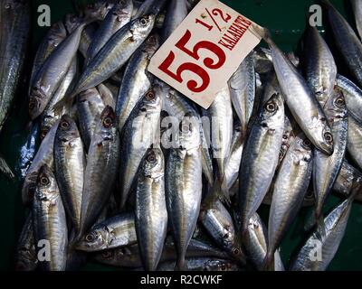 Foto von frischem Umlauf scad oder galunggong in Containern auf einem nassen Markt Stockfoto