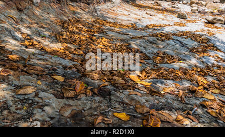 Sawarna Strand Tour Stockfoto