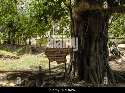 Von Magic Tree, wo Lautsprecher die Klänge der sterbenden Opfer in den Killing Fields völkermörderischen Zentrum ertrunken. Choeung Ek, Phnom Penh, Kambodscha Stockfoto