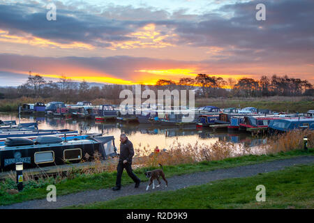 Rufford, Lancashire, UK. 19 November, 2018 UK Wetter. Klar, am Anfang des Tages, mit Übernachtung Temperaturen von 5 C, die Dämmerung bricht über dem Leeds Liverpool canal. Winde sind jetzt aus dem Osten mit einem eisigen Blast erwartet. Ein kalter Morgen für Hausboot Bewohner, die sich das Leben über Wasser zu leben. St Mary's Marina ist Heimat für viele saisonale und langfristige Nautiker. Mit Liegeplätze für 100 Boote bis zu 60 Fuß Länge, es können sowohl schmale und breite Boote und Canal Kreuzer belegt werden. Credit: MediaWorldImages/AlamyLiveNews Stockfoto