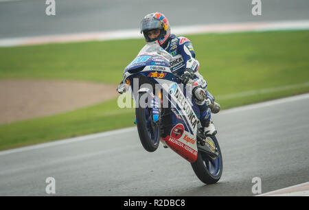 Manilva, Malaga, Spanien. 18 Nov, 2018. GP Comunitat Valenciana Moto GP. Jorge Martín moto3 Fahrer und 2018 Weltmeister, feiert nach dem Moto3-Rennen. Credit: rosdemora/Alamy leben Nachrichten Stockfoto