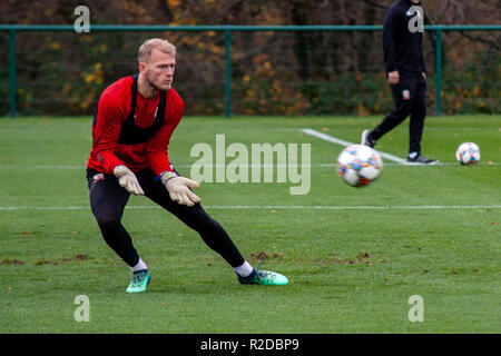 Cardiff, Wales. 15. November 2018. Wales Torhüter Adam Davies Züge vor Ihrer bevorstehenden freundlich gegen Albanien. Lewis Mitchell/YCPD. Quelle: Lewis Mitchell/Alamy leben Nachrichten Stockfoto