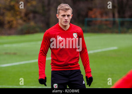 Cardiff, Wales. 15. November 2018. Wales Zug vor Ihrer bevorstehenden freundlich gegen Albanien. Lewis Mitchell/YCPD. Quelle: Lewis Mitchell/Alamy leben Nachrichten Stockfoto