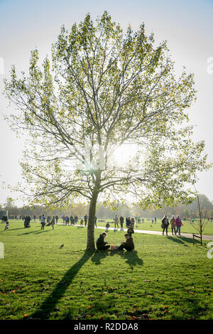 London, Großbritannien. 19. November 2018. UK Wetter: Sonnig Nachmittag Licht im Hyde Park. Credit: Guy Corbishley/Alamy leben Nachrichten Stockfoto