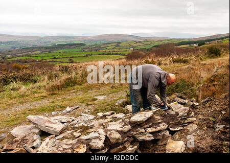 Sheeps Head Way, West Cork, Irland. 19 Nov, 2018. John O'Sullivan, einem Steinmetz, baut eine Mauer aus Stein als Teil einer Entwicklung, die einen Tisch aus Stein am Fuße des Mount Corrin auf der Sheeps Head Way umfasst. Die Entwicklung mit Blick auf Dunmanus Bay, die Teil der Sheeps Head Way. Credit: Andy Gibson/Alamy Leben Nachrichten. Stockfoto