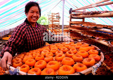 (181119) - guilin, November 19, 2018 (Xinhua) - dorfbewohner Peng Meiying lüftet persimmon Früchte auf Zhujiatun Dorf Pingle County, South China Guangxi Zhuang autonomen Region, Nov. 17, 2018. Die Ernte von 40.000 kg persimmon Früchte wird erwartet, dass die Einkommen von über 30.000 Yuan (4,321 US-Dollar zu erstellen) in diesem Jahr Pengs Familie. (Xinhua / Wang Zichuang) (Ry) Stockfoto