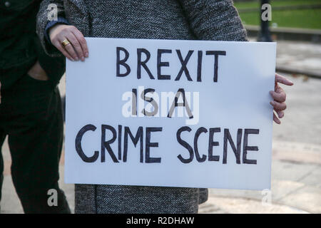 London, Großbritannien. 19 Nov, 2018. Pro-EU-demonstrant gesehen hält ein Plakat während des Protestes. Pro-EU-Demonstranten von sodem (Stand unter Missachtung der Europäischen Bewegung) einschließlich einem großen Dinosaurier zeigt mit ihren Plakaten und Europäische Union Flaggen vor dem Palast von Westminster in London vor Die entscheidende Woche des Brexit Verhandlungen als Premierminister Theresa May bereitet Chefunterhändler Michel Barnier später diese Woche zu treffen, um die Rücknahme zu diskutieren. Credit: Dinendra Haria/SOPA Images/ZUMA Draht/Alamy leben Nachrichten Stockfoto