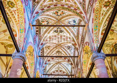 Decke des Kirchenschiffes. Sant'Anastasia, die größte Kirche in Verona, im Jahre 1290 begonnen, nach den Entwürfen von zwei Dominikaner Fra Benvenuto da Bologna und Fra Stockfoto