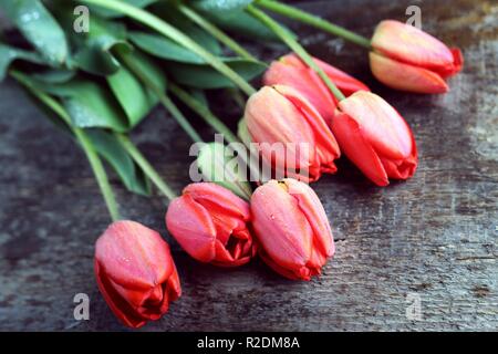 Vintage Holz- Hintergrund mit Tulpen in Tropfen Tau Stockfoto