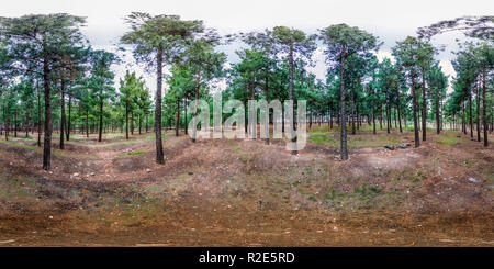 360 Grad Panorama Ansicht von Sorkheh Hesar Nationalpark