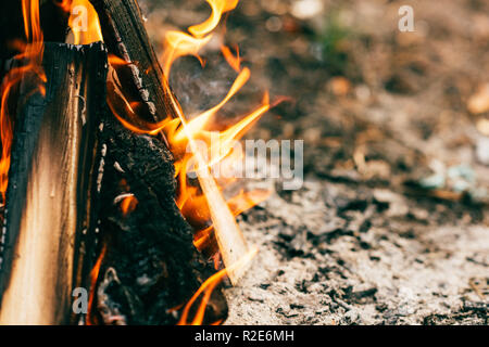 In der Nähe des brennenden Holz Lagerfeuer im Wald Stockfoto