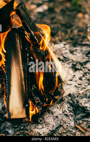 In der Nähe des brennenden Holz Lagerfeuer im Wald Stockfoto