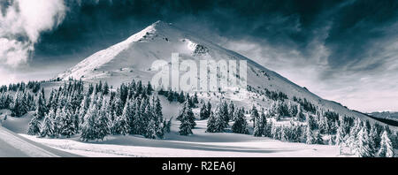 Schöne Winterlandschaft der Karpaten. Petros Gipfel mit Schnee bedeckt. Schwarz-weiß-Foto. Stockfoto