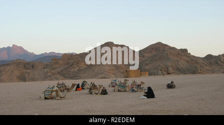 Ruhestätte der Beduinen Stockfoto