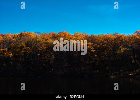 Herbst Farbe treeline in Harriman State Park Stockfoto