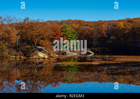 Bäume und Felsen durch Wasser mit Herbstfarben in Harriman State Park Stockfoto