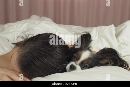 Schöne jugendlich Mädchen süß schlafen im Bett mit Papillon dog Stockfoto