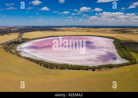 Luftbild von Rosa See in Australien Stockfoto