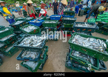 Fischmarkt Sitzung Seeszene Menschen versammelten sich im Korb Fischverkauf, anstrengende Ruderfischerei Fischer Fisch an Land gebracht Fischerdorf in Phan Thiet Stockfoto