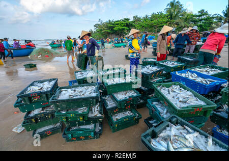 Fischmarkt Sitzung Seeszene Menschen versammelten sich im Korb Fischverkauf, anstrengende Ruderfischerei Fischer Fisch an Land gebracht Fischerdorf in Phan Thiet Stockfoto