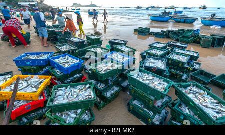 Fischmarkt Sitzung Seeszene Menschen versammelten sich im Korb Fischverkauf, anstrengende Ruderfischerei Fischer Fisch an Land gebracht Fischerdorf in Phan Thiet Stockfoto