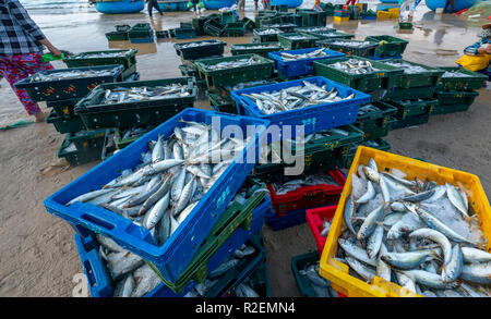 Fischmarkt Sitzung Seeszene Menschen versammelten sich im Korb Fischverkauf, anstrengende Ruderfischerei Fischer Fisch an Land gebracht Fischerdorf in Phan Thiet Stockfoto