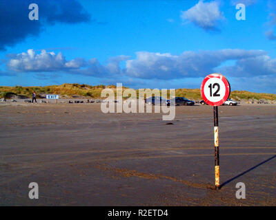 Beach Road bull North Island Stockfoto