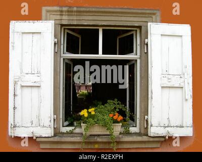 Fenster Stockfoto